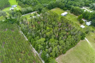 229 SW Barwick Ter, Lake City, FL 32024 - Photo 54