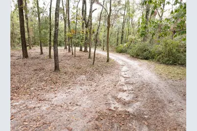 19396 NW 132nd Place, Alachua, FL 32615 - Photo 32