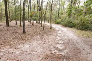 19396 NW 132nd Pl, Alachua, FL 32615 - Photo 32