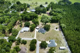 18450 NE 61 Ln, Williston, FL 32696 - Photo 42