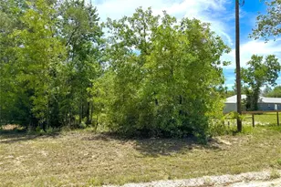 5331 SE 122 Ave, Morriston, FL 32668 - Photo 42