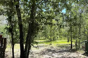 5331 SE 122 Ave, Morriston, FL 32668 - Photo 36