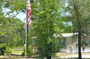 5331 SE 122 Ave, Morriston, FL 32668 - Photo 48
