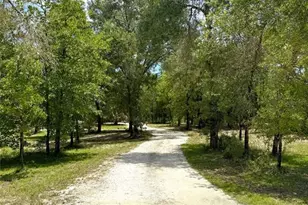 5331 SE 122 Ave, Morriston, FL 32668 - Photo 44