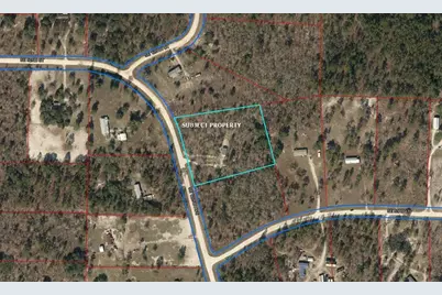 5331 SE 122 Avenue, Morriston, FL 32668 - Photo 50