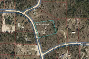 5331 SE 122 Ave, Morriston, FL 32668 - Photo 50