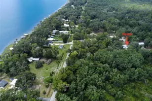 1043 SE County Rd 21b, Melrose, FL 32666 - Photo 44