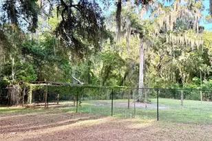 1043 SE County Rd 21b, Melrose, FL 32666 - Photo 36