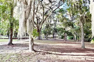 1043 SE County Rd 21b, Melrose, FL 32666 - Photo 48