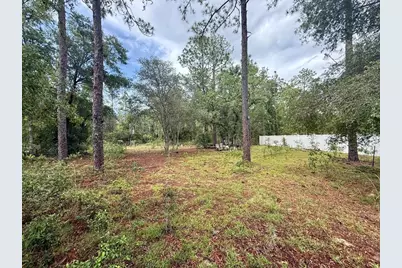 Tbd NE 3rd Place, Williston, FL 32696 - Photo 6