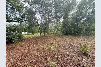 Tbd NE 3rd Place, Williston, FL 32696 - Photo 10