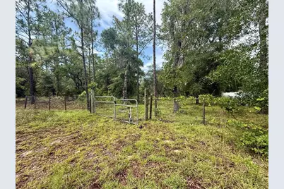 Tbd NE 3rd Place, Williston, FL 32696 - Photo 2