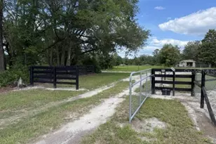 559 SW 15th Ct, Bell, FL 32619 - Photo 46