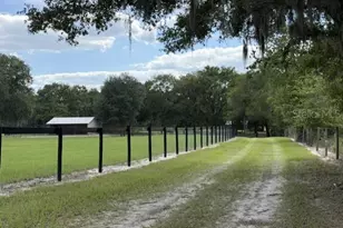 559 SW 15th Ct, Bell, FL 32619 - Photo 38