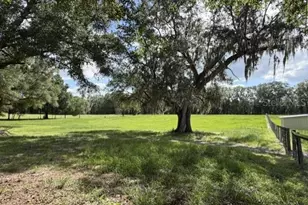 559 SW 15th Ct, Bell, FL 32619 - Photo 40