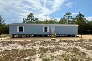 Tbd NE 115th Ave, Williston, FL 32696 - Photo 1