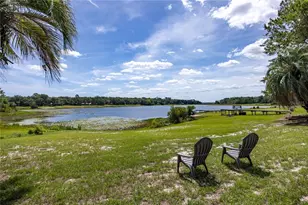 3933 SE State Road 21, Keystone Heights, FL 32656 - Photo 66