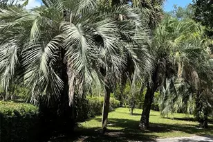3933 SE State Road 21, Keystone Heights, FL 32656 - Photo 96