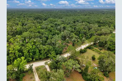 109 NE 194th Avenue, Old Town, FL 32680 - Photo 10