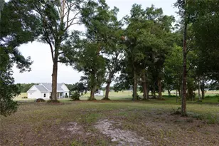 3705 NW 31st Ave, Bell, FL 32619 - Photo 52