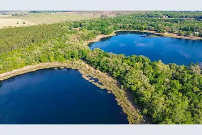 138 Hutchinson Lane, Hawthorne, FL 32640 - Photo 26