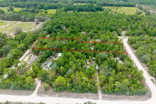 550 NW 73rd Way, Bell, FL 32619 - Photo 32