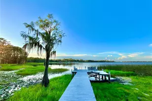 20517 NE 114th Ave, Waldo, FL 32694 - Photo 42
