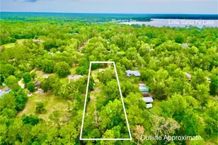 20517 NE 114th Ave, Waldo, FL 32694 - Photo 38