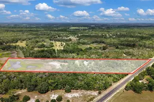 10250 NE 5th Ave, Branford, FL 32008 - Photo 38