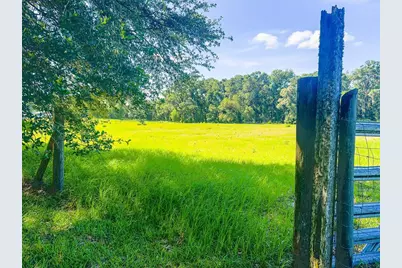 21528 NW 209th Terrace, High Springs, FL 32643 - Photo 22