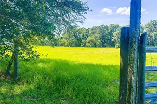21528 NW 209th Terrace, High Springs, FL 32643 - Photo 22