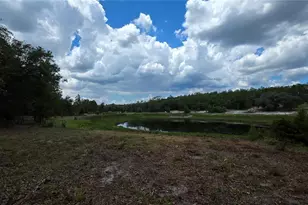 200 Hour Glass Cir, Hawthorne, FL 32640 - Photo 30