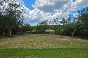 200 Hour Glass Cir, Hawthorne, FL 32640 - Photo 24