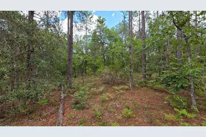 200 Hour Glass Circle, Hawthorne, FL 32640 - Photo 28