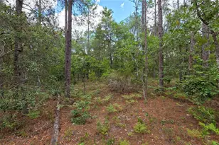 200 Hour Glass Cir, Hawthorne, FL 32640 - Photo 28