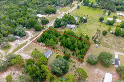 Tbd NE 115 Street, Bronson, FL 32621 - Photo 6