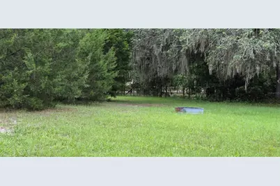 17416 NW 89th Terrace, Fanning Springs, FL 32693 - Photo 4
