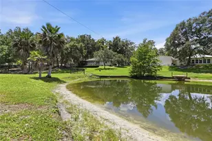 561 SE 28th St, Melrose, FL 32666 - Photo 58