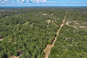Tbd NE 82nd Pl, Bronson, FL 32621 - Photo 1