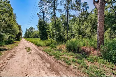 Tbd NE 82nd Place, Bronson, FL 32621 - Photo 2