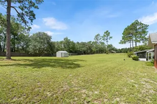 10290 NE 60th St, Bronson, FL 32621 - Photo 4