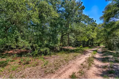 Tbd NE 83rd Lane, Bronson, FL 32621 - Photo 2
