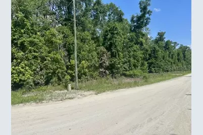 284th Street, Branford, FL 32008 - Photo 2