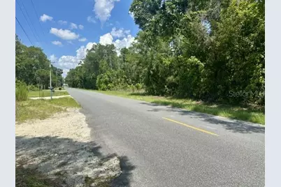 284th Street, Branford, FL 32008 - Photo 6