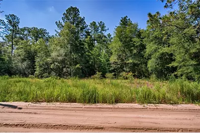 Tbd NE 100th Avenue, Bronson, FL 32621 - Photo 2
