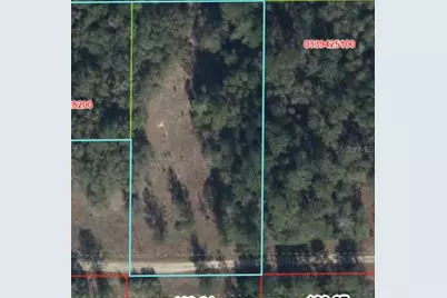 000 NE 82nd Place, Bronson, FL 32621 - Photo 4