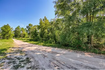 000 NE 82nd Place, Bronson, FL 32621 - Photo 2
