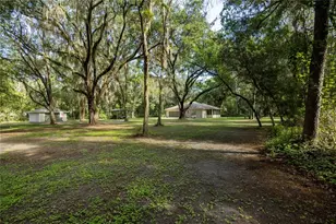7517 NE 221st St, Melrose, FL 32666 - Photo 6