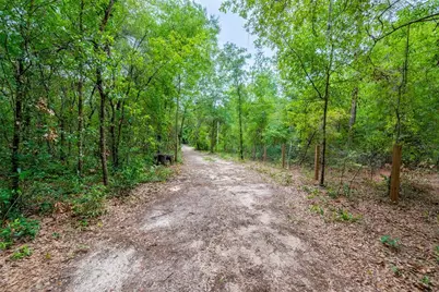 1671 NE 128th Avenue, Williston, FL 32696 - Photo 6