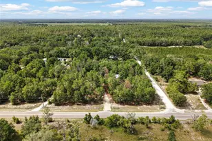 2298 NW 10th St, Bell, FL 32619 - Photo 34